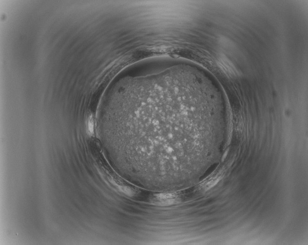 X0000068840095200605051313