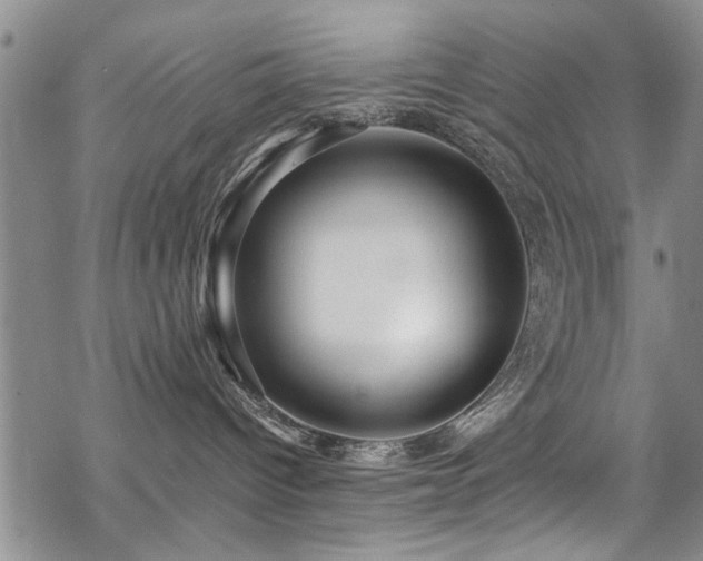 X0000068840096200605051313