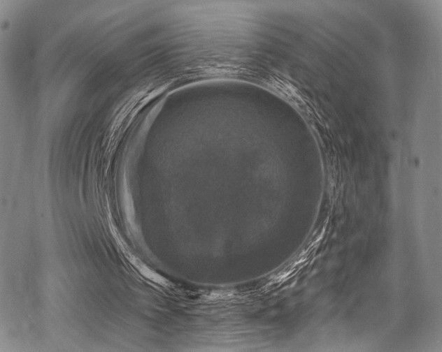 X0000068840097200605051312