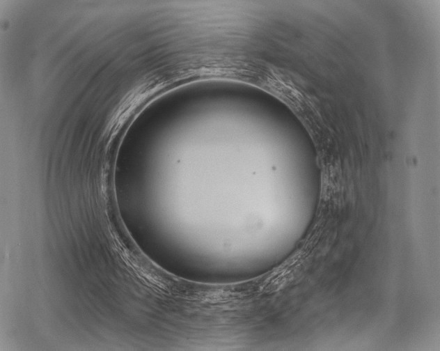 X0000068840098200605051312