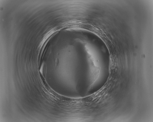 X0000068840099200605051312