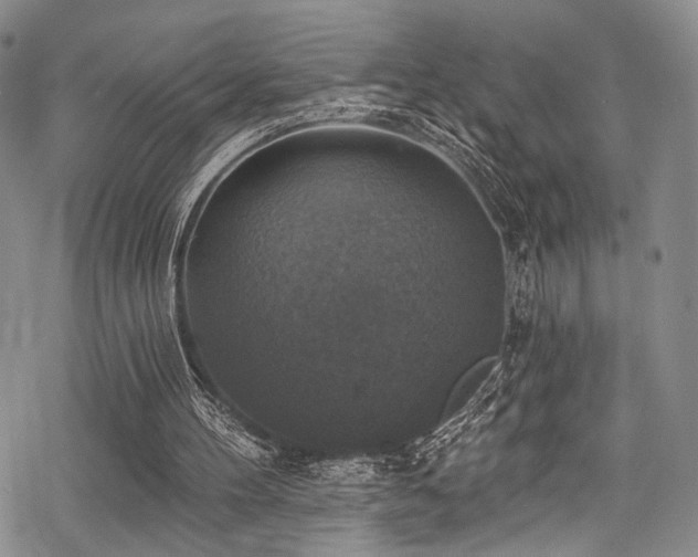 X0000068840100200605051312