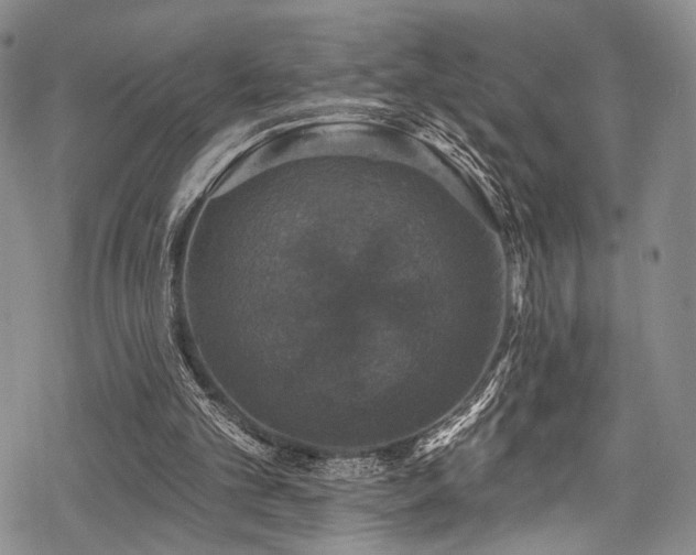 X0000068840101200605051312