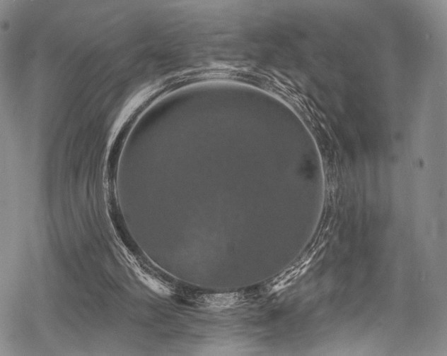 X0000068840102200605051312