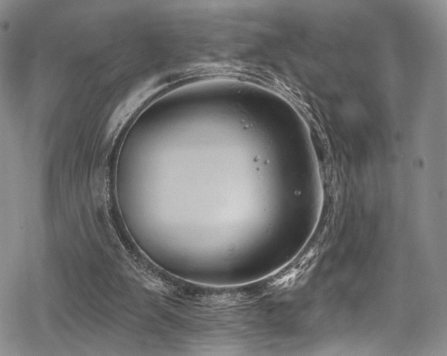 X0000068840103200605051312