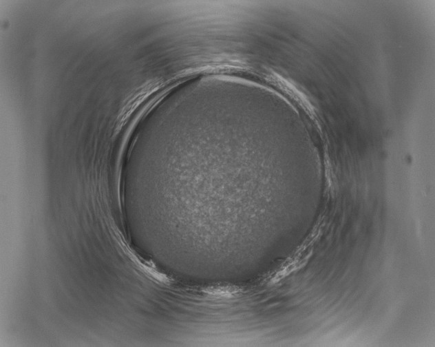 X0000068840105200605051312