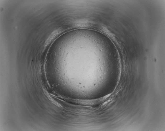 X0000068840106200605051312