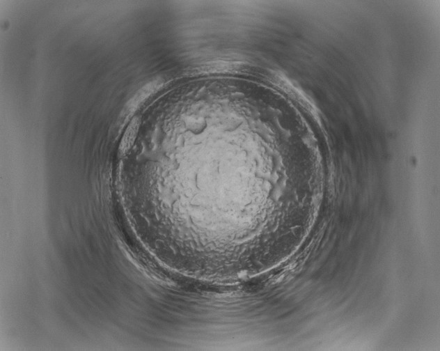 X0000068840107200605051312