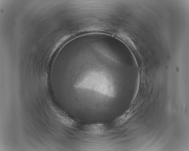 X0000068840108200605051312