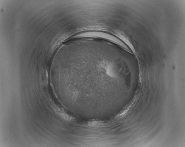 X0000068840109200605051312