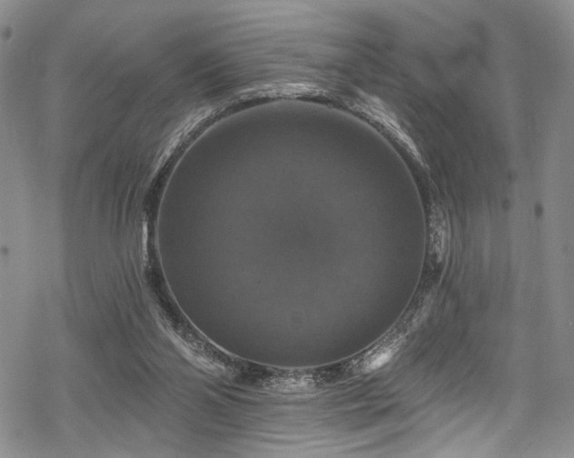 X0000068840110200605051312