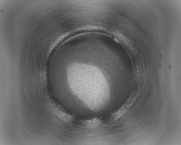 X0000068840112200605051312