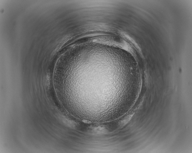 X0000068840113200605051312