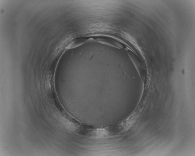 X0000068840114200605051312