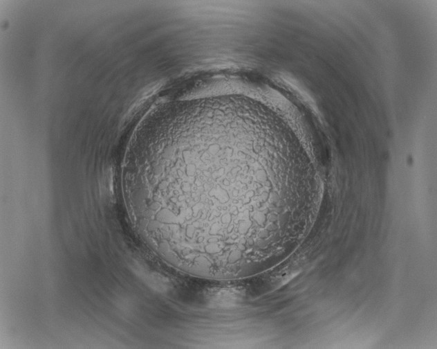 X0000068840115200605051312