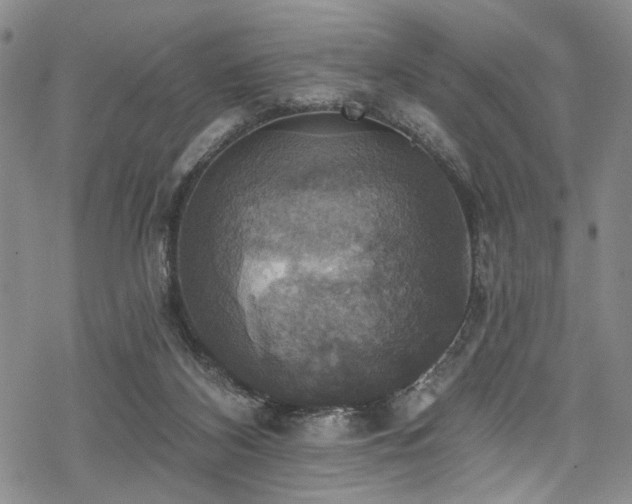 X0000068840116200605051312