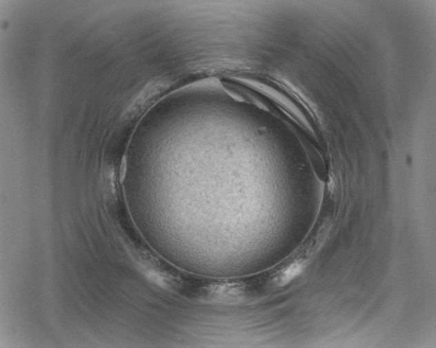 X0000068840117200605051312