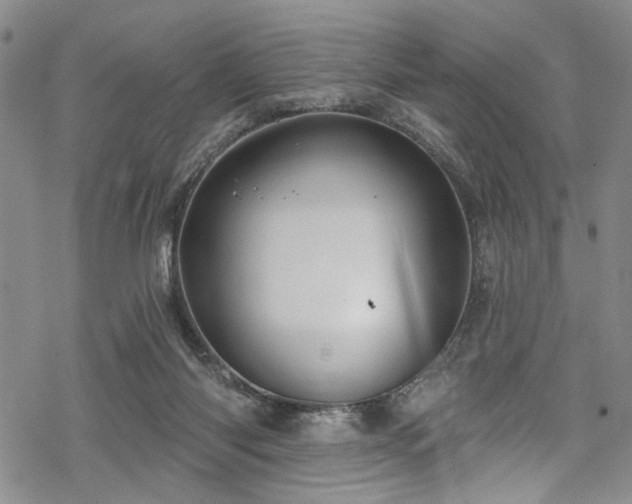 X0000068840118200605051312