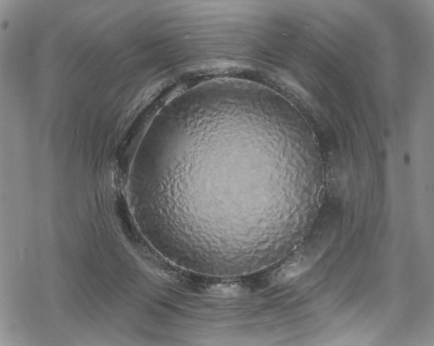 X0000068840119200605051311