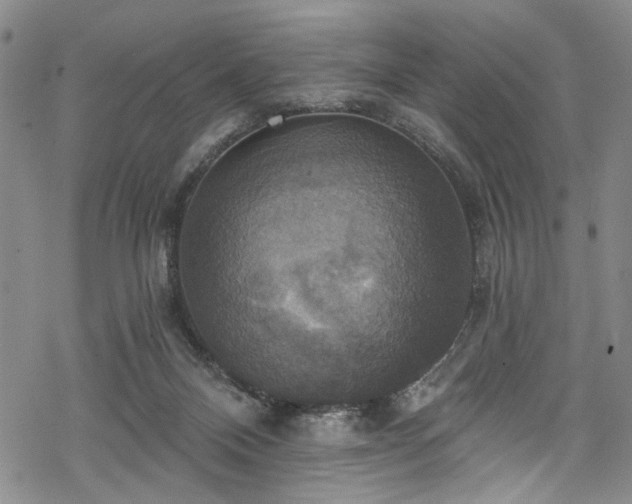 X0000068840120200605051311