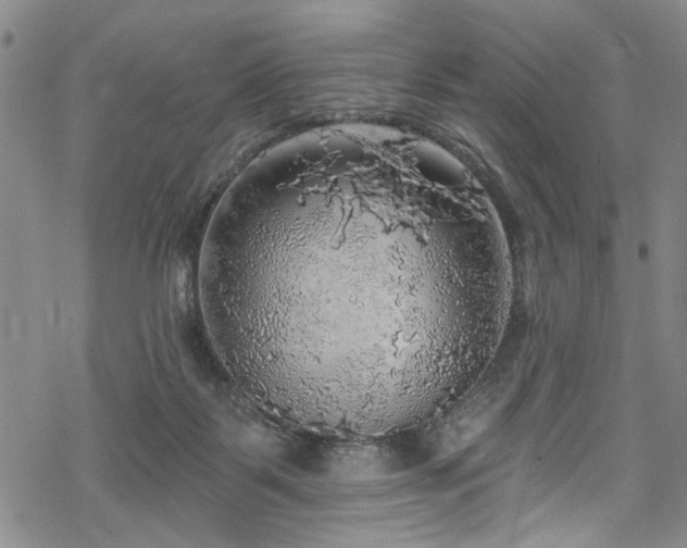 X0000068840123200605051311