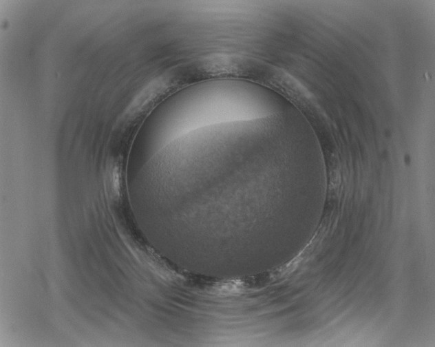 X0000068840124200605051311