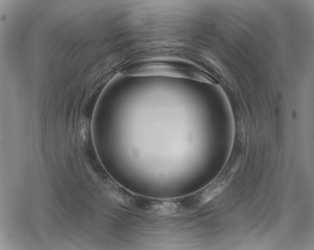 X0000068840125200605051311