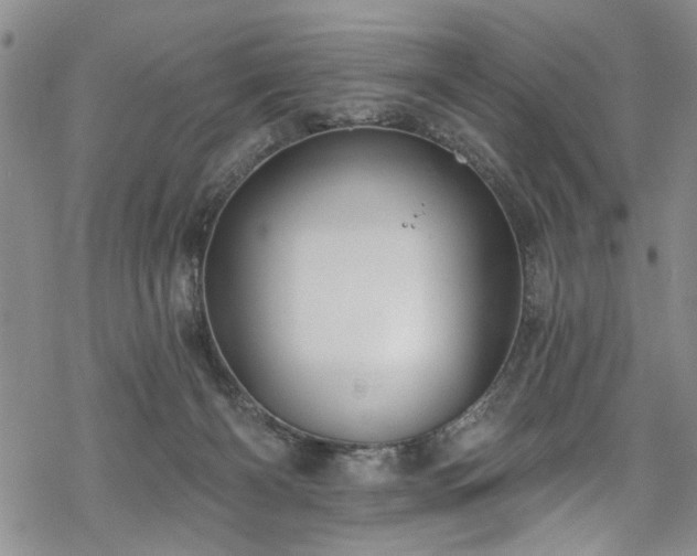 X0000068840126200605051311