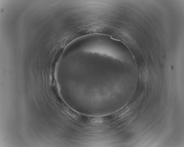 X0000068840127200605051311