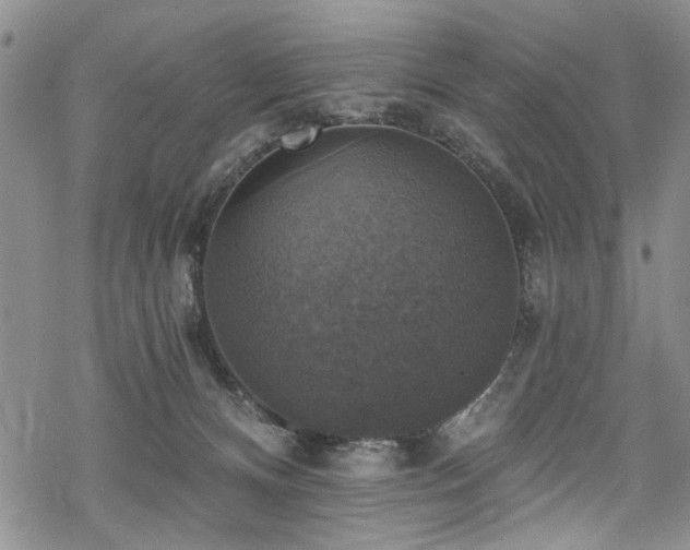 X0000068840128200605051311