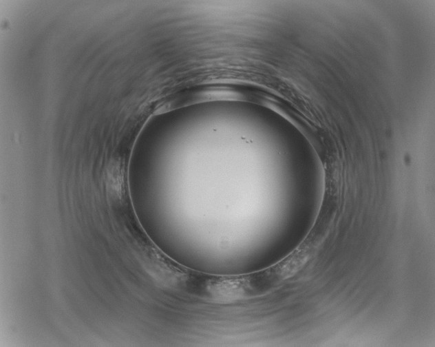 X0000068840129200605051311