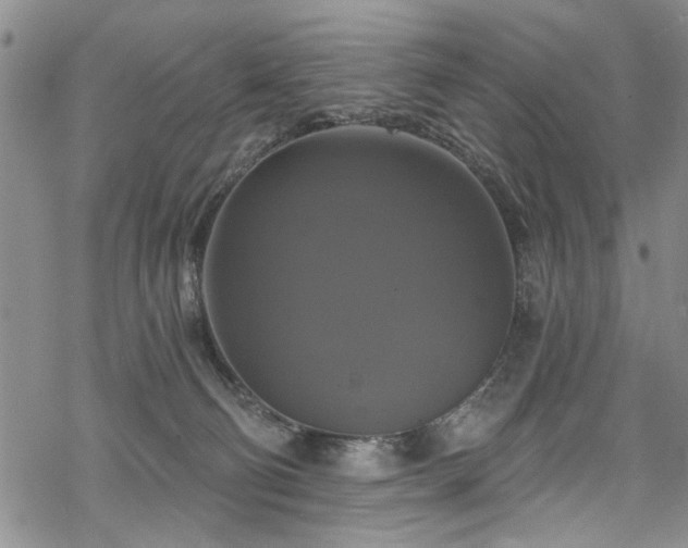 X0000068840130200605051311