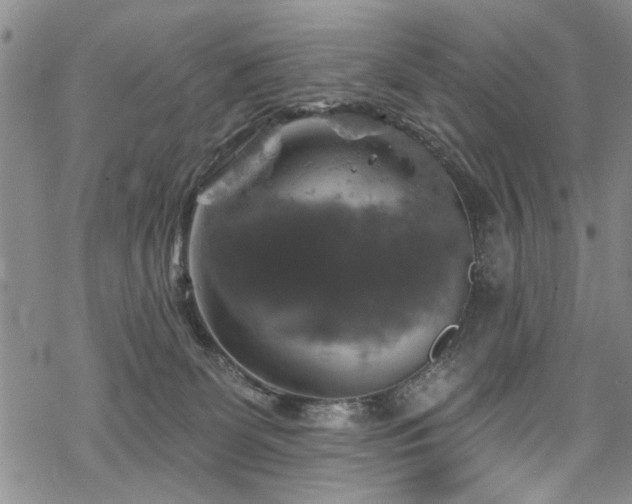 X0000068840131200605051311