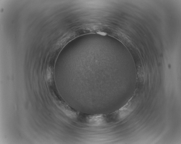 X0000068840132200605051311