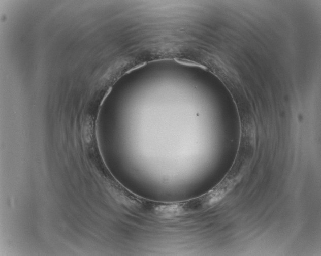 X0000068840133200605051311