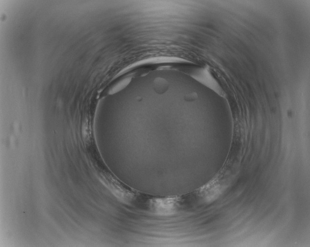 X0000068840134200605051311