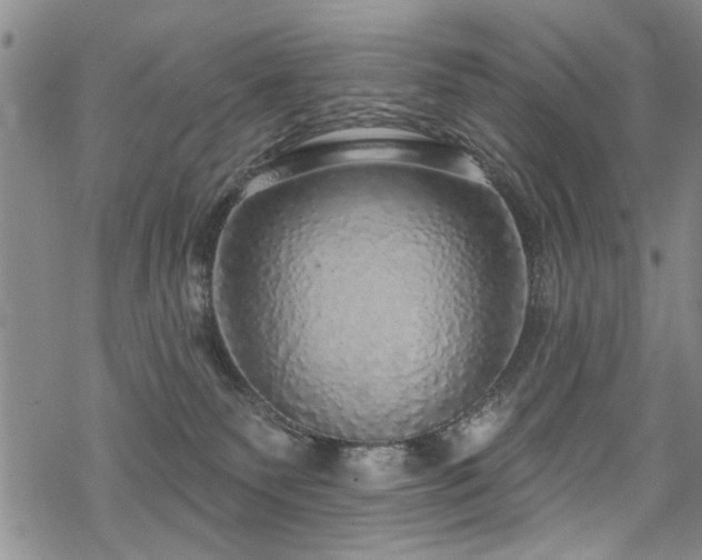 X0000068840135200605051311