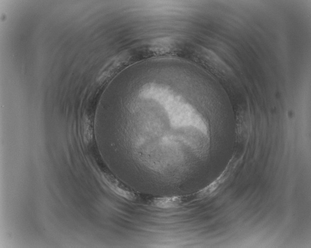 X0000068840136200605051311