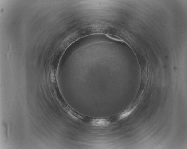 X0000068840137200605051311