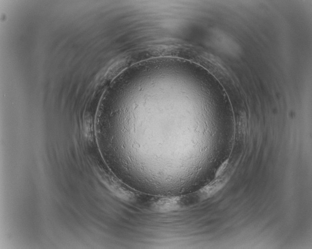 X0000068840138200605051311