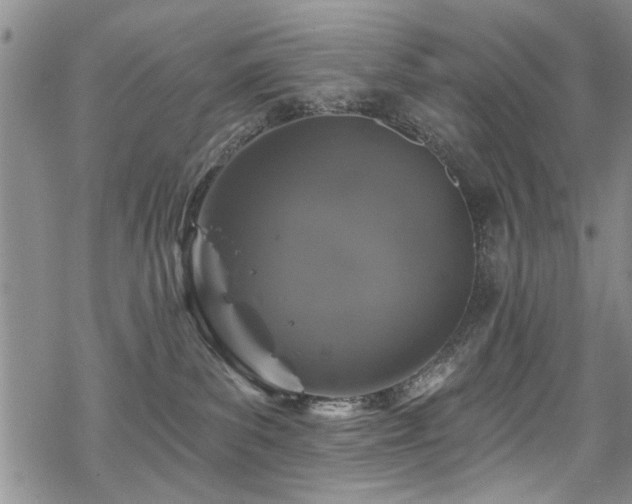 X0000068840139200605051311