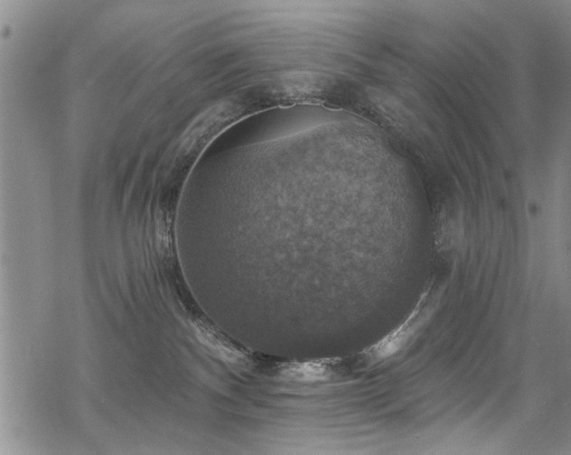 X0000068840140200605051311