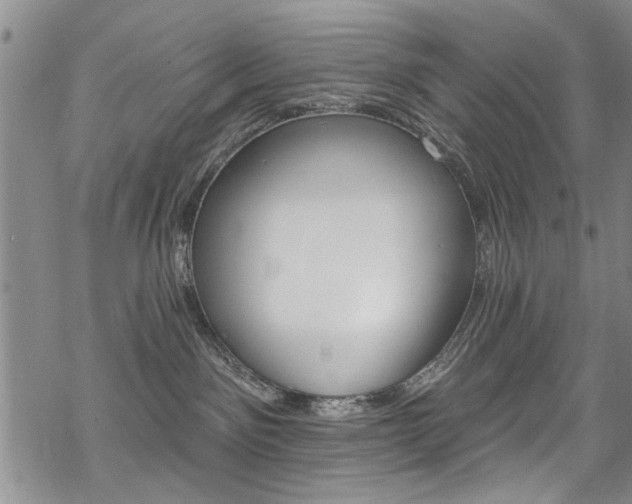 X0000068840141200605051311