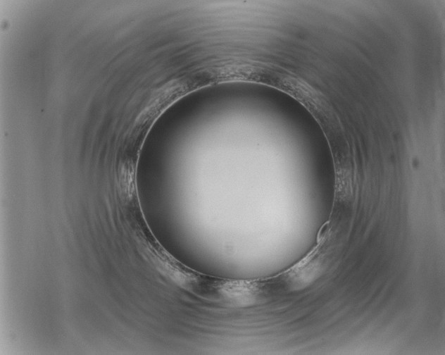 X0000068840142200605051311