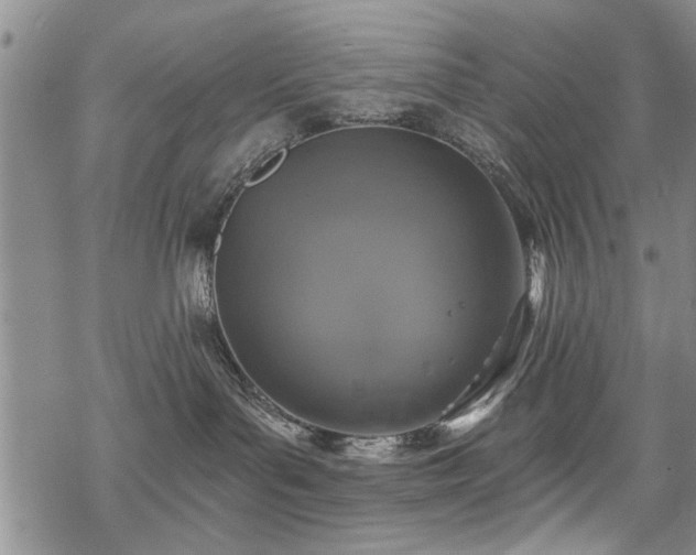 X0000068840143200605051311