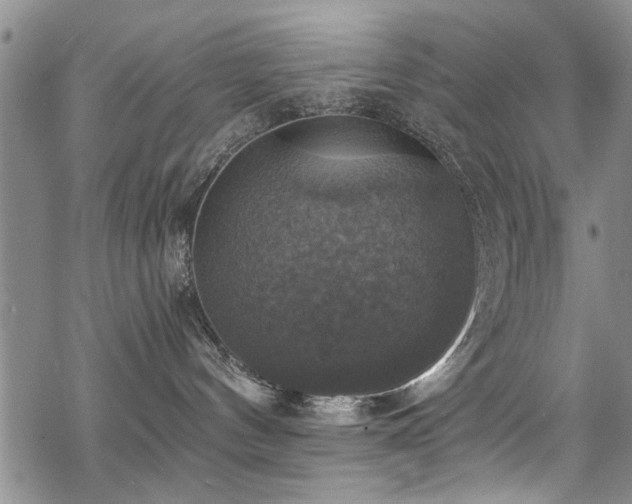 X0000068840144200605051311