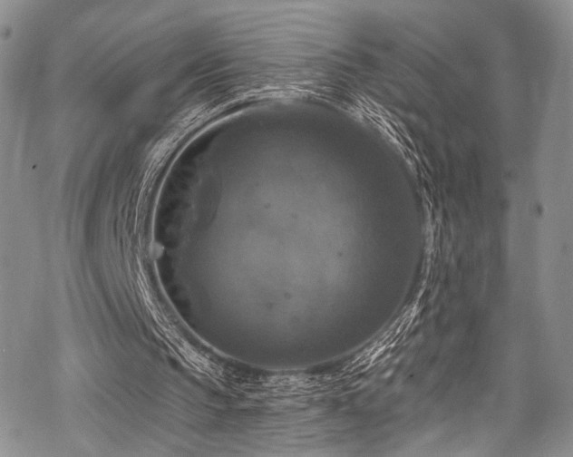 X0000068840145200605051310