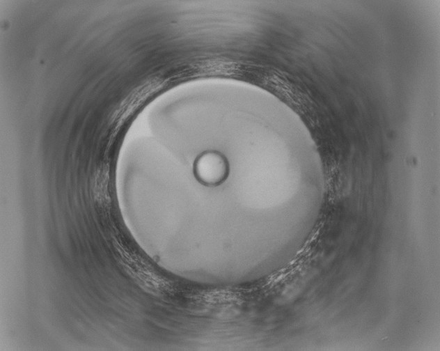 X0000068840146200605051310