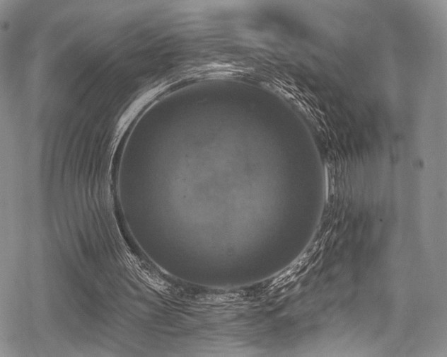 X0000068840147200605051310