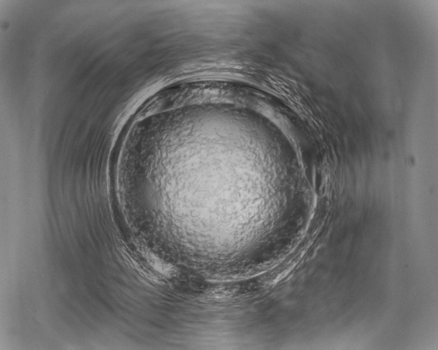 X0000068840148200605051310